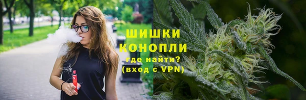 СК Мегион