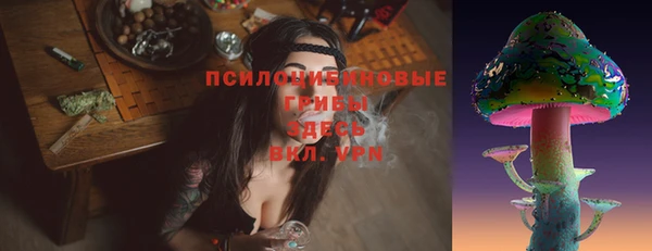 СК Мегион
