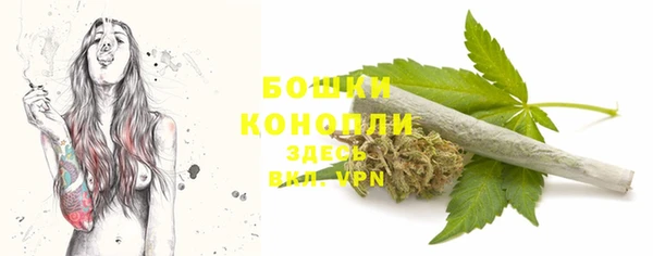 СК Мегион