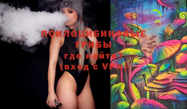 СК Мегион
