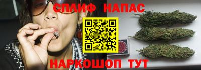apvp Апшеронск