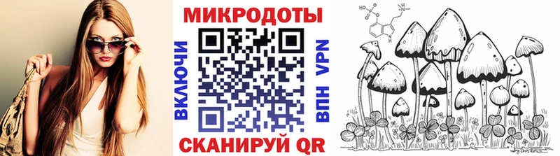 Галлюциногенные грибы Psilocybe  сколько стоит  Владимир 