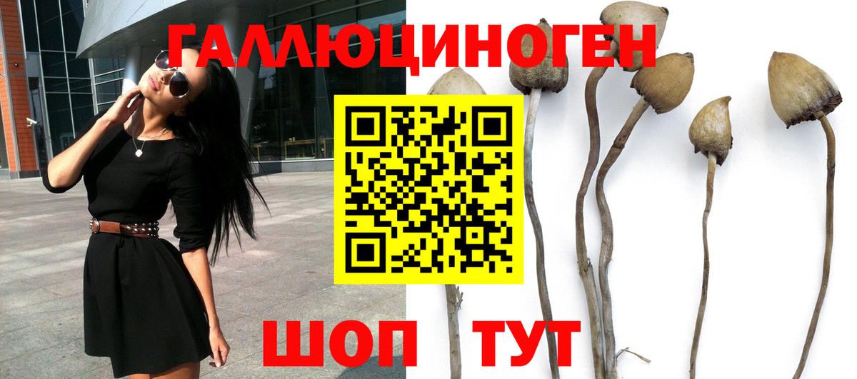 Псилоцибиновые грибы прущие грибы  как найти   Псилоцибиновые грибы ЛСД  Владимир 